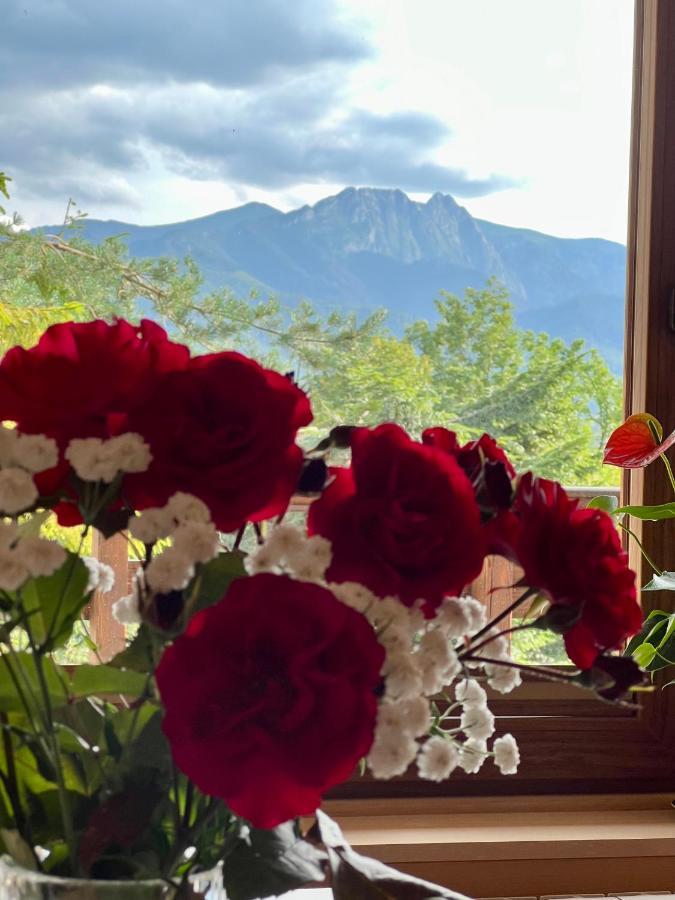 Domek Olczyski Zakopane Luaran gambar
